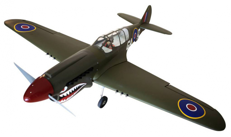 Seagull P-40N Warhawk Shark 38-61cc med el-landställ - Bild 2