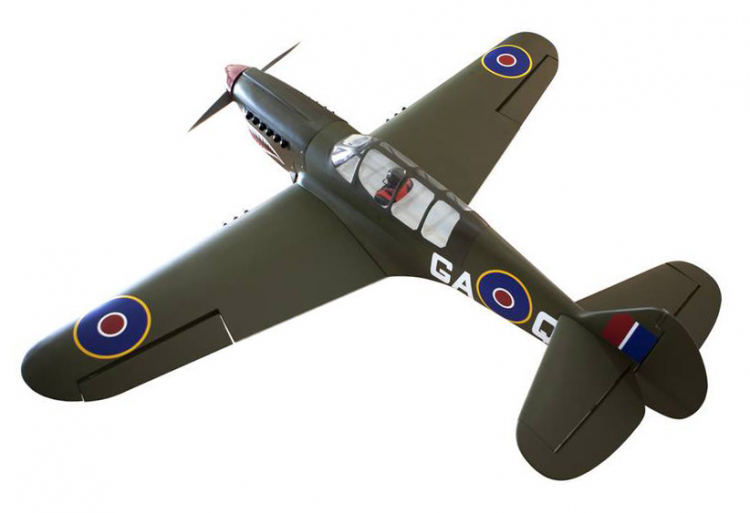 Seagull P-40N Warhawk Shark 38-61cc med el-landställ - Bild 6