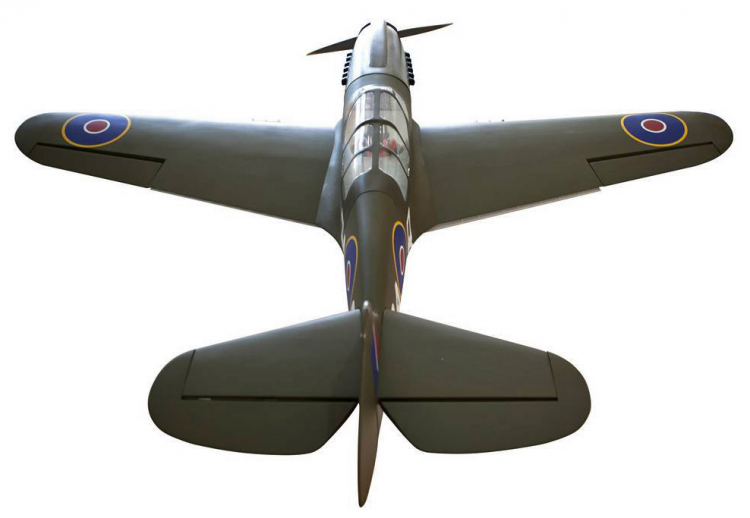 Seagull P-40N Warhawk Shark 38-61cc med el-landställ - Bild 7