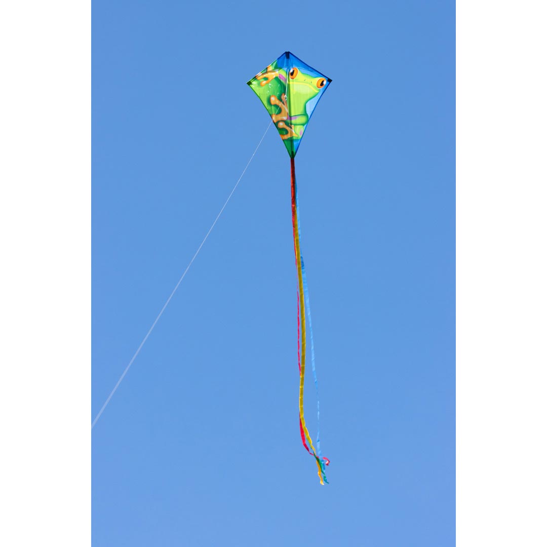 En linors drake Eddy Froggy 70cm - Bild 3