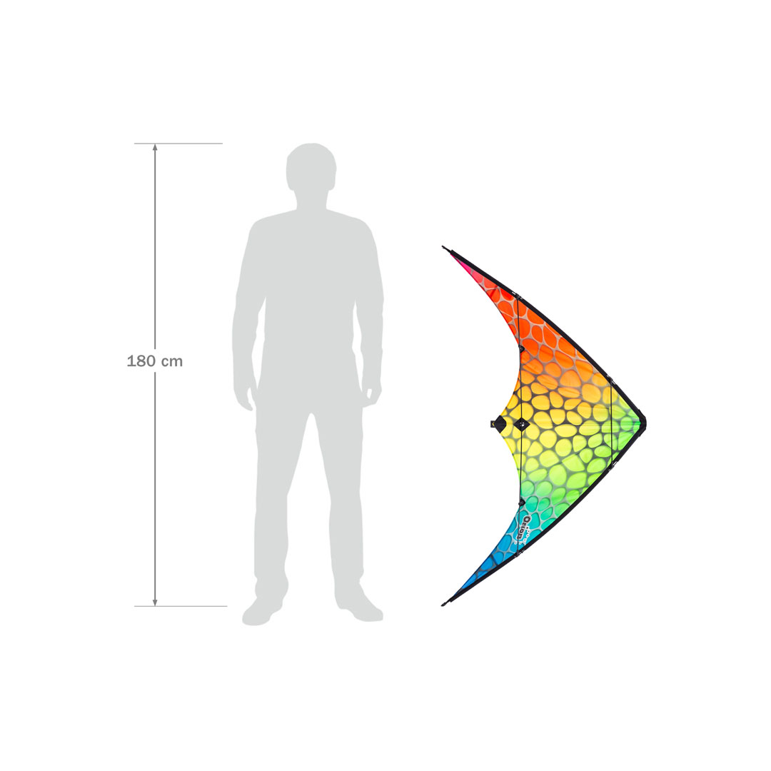 Ecoline: Orion Gradient Mesh - Bild 3